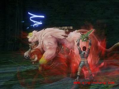 怪物猎人ol麻痹双刀厉害吗?怪物猎人ol麻痹双刀定位