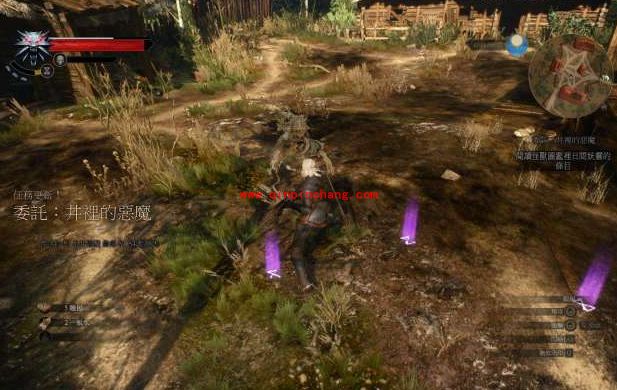 巫师3狂猎井里的恶魔任务怎么做？巫师3狂猎井里的恶魔过关攻略