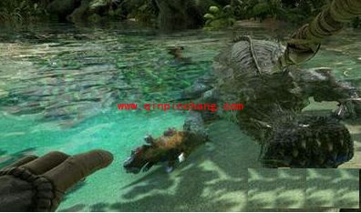 方舟生存进化鳄鱼怎么驯服？方舟生存进化驯服鳄鱼攻略介绍