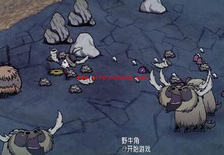 《饥荒》牛毛有什么用?《饥荒》牛毛怎么获得?