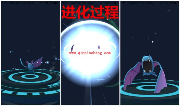 精灵宝可梦GO_精灵宝可梦GO基础知识介绍