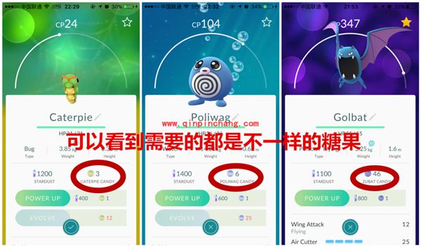 精灵宝可梦GO_精灵宝可梦GO基础知识介绍