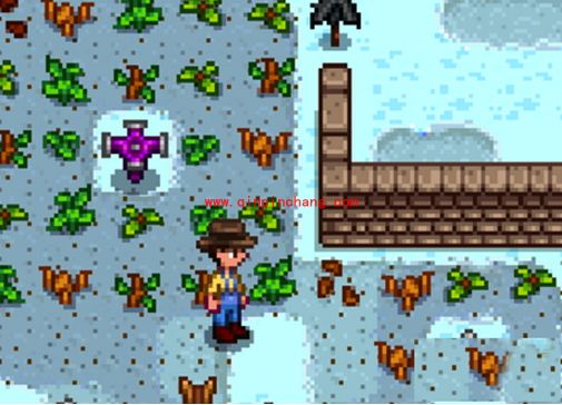 星露谷物语神秘商人在哪？星露谷物语神秘商人什么时候出现？