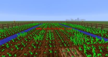 我的世界1.62小麦种子怎么获得？我的世界1.62小麦种子有什么用？