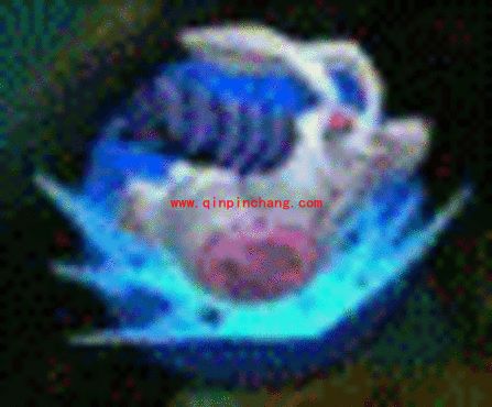 全民超神睡眠之神邦妮怎么样 睡眠之神邦妮技能属性指南攻略