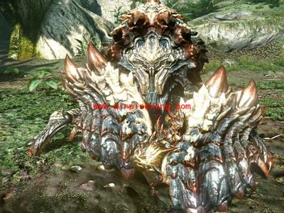 怪物猎人ol中鬼蜘蛛的复眼怎么出？怪物猎人ol复眼怎么获得