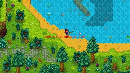 星露谷物语怎么钓鱼？星露谷物语钓鱼心得分享