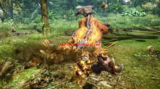 怪物猎人ol没有观察眼如何成功捕获怪物？怪物猎人ol百分百成功捕获怪物心得分享