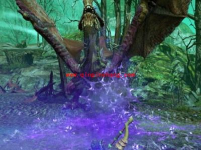 怪物猎人ol诡异的光水晶怎么得？怪物猎人ol紫毒怪鸟狩猎攻略