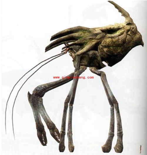 怪物猎人ol砦蟹什么时候出?怪物猎人ol砦蟹怎么打?