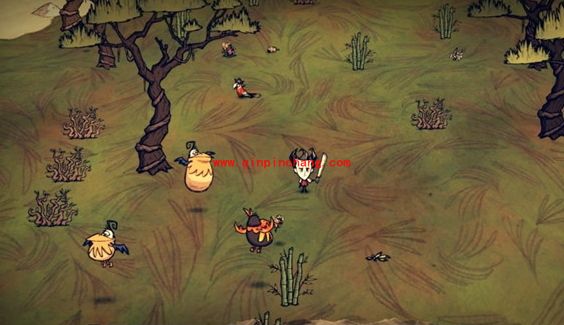 饥荒海难鹈鹕不见了怎么办？饥荒海难鹈鹕有什么用？