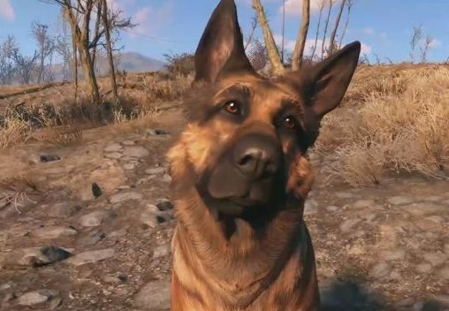 辐射4狗肉好感度怎么增加？辐射4狗肉会不会背叛？