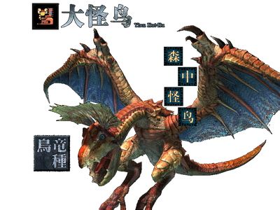 怪物猎人ol大怪鸟的喙怎么出？怪物猎人ol大怪鸟破头分析