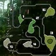 怪物猎人ol大怪鸟的喙怎么出？怪物猎人ol大怪鸟破头分析