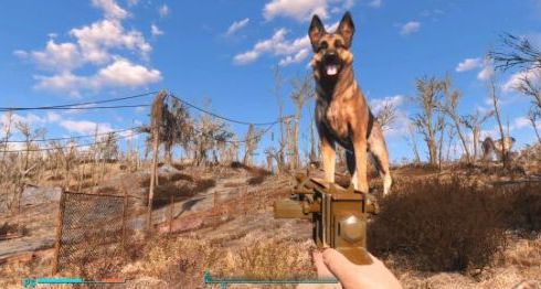 辐射4智力加点要高么?辐射4智力影响升级吗?