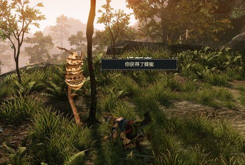 怪物猎人ol蜂蜜素材有什么作用？怪物猎人ol蜂蜜怎么获得？