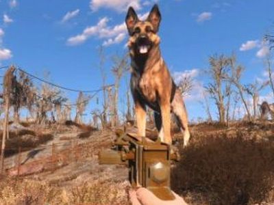 辐射4不用代码怎么才能提高队友好感度？辐射4提高队友好感度方法