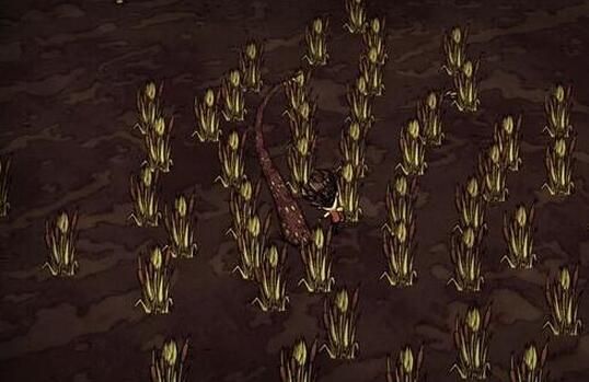 《饥荒》地皮有什么用?《饥荒》地皮代码是什么?