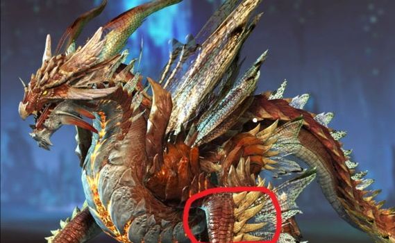 怪物猎人ol星羽蝶打星龙什么部位出?怪物猎人ol星羽碟是绑定的吗?