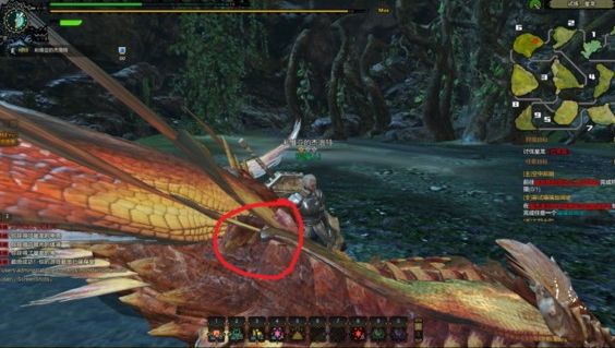 怪物猎人ol星羽蝶打星龙什么部位出?怪物猎人ol星羽碟是绑定的吗?