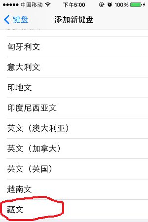 皇室战争名字带翅膀怎么打 带翅膀的名字设置方法介绍