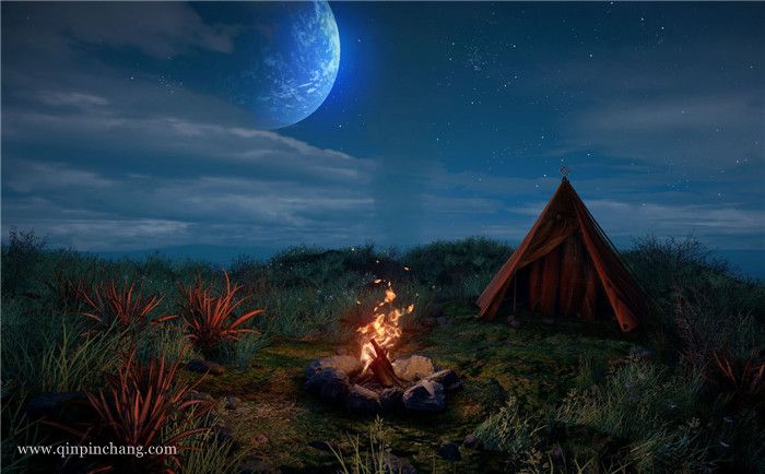 东方之茵中文版下载