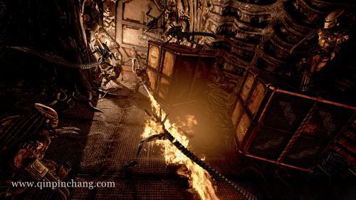 异形大战:铁血战士下载