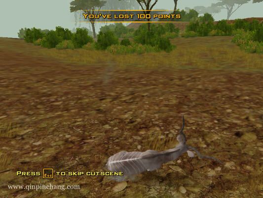 红犀牛：嬉哈狂潮下载