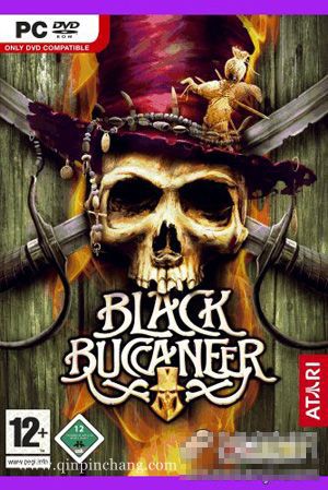 黑海盗传奇下载