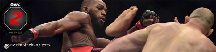 终极格斗冠军2UFC2下载