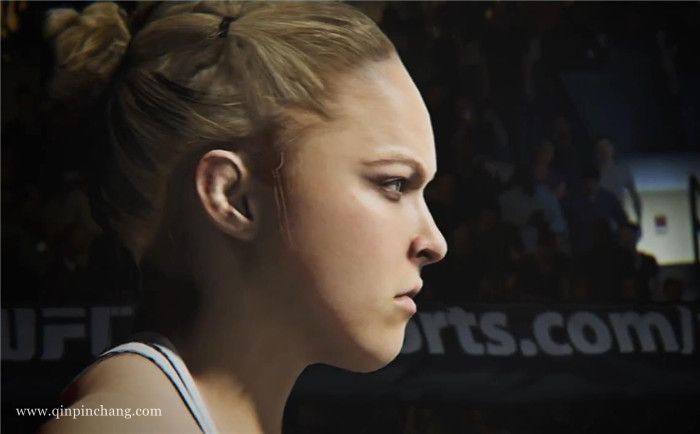 终极格斗冠军2UFC2下载