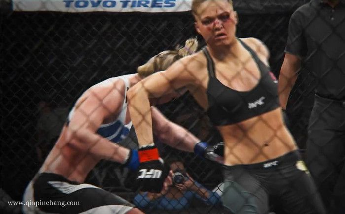 终极格斗冠军2UFC2下载