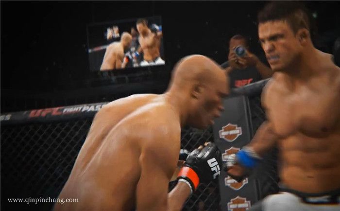 终极格斗冠军2UFC2下载