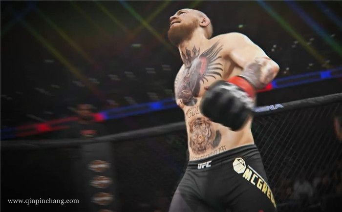 终极格斗冠军2UFC2下载