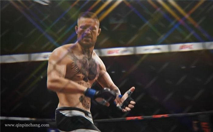 终极格斗冠军2UFC2下载