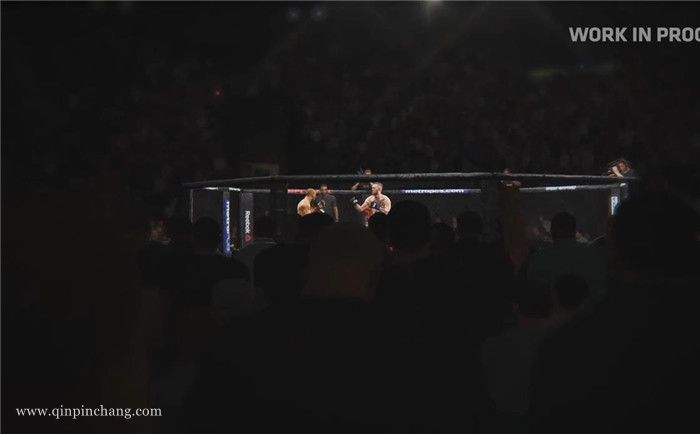 终极格斗冠军2UFC2下载