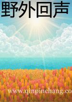 野外回声下载