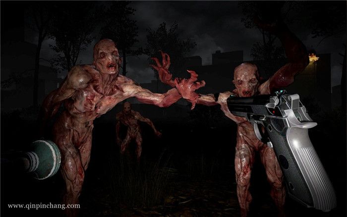 布鲁克海文实验下载