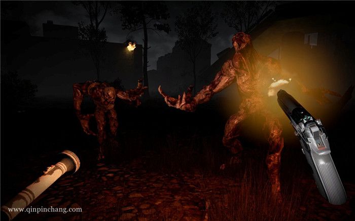 布鲁克海文实验下载