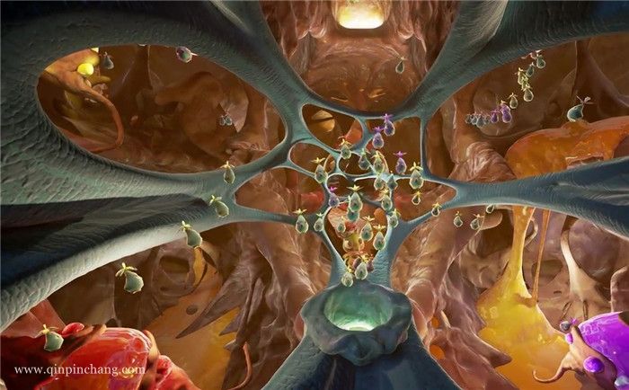 遥远国度中文版下载