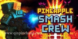 菠萝粉碎组完整版下载