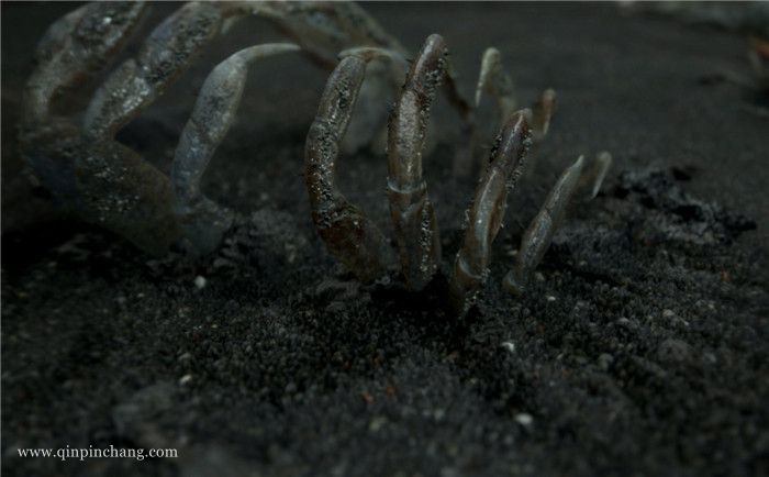 死亡搁浅下载