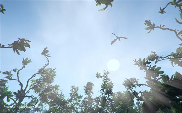 漩涡:异星通道中文版下载
