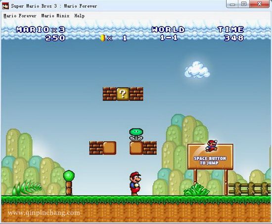 永远的超级玛丽下载