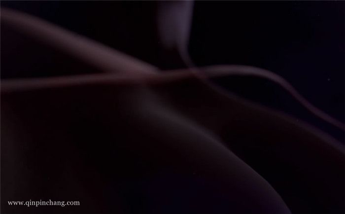 剑风传奇无双下载