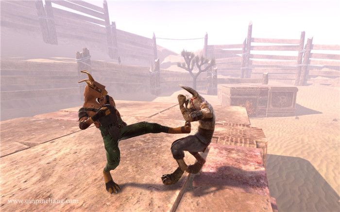 复仇格斗兔下载