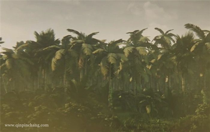 现代启示录下载