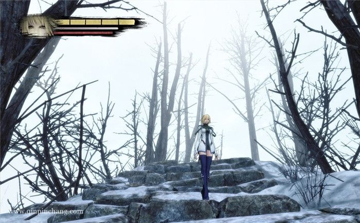 阿尼玛回忆之门中文版下载