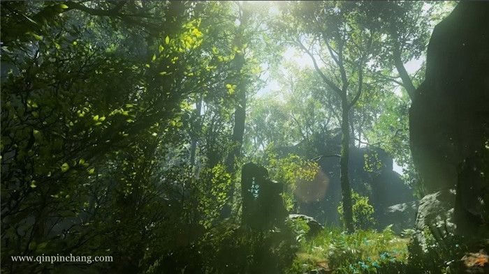 天堂的季节下载