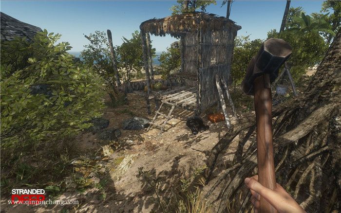 荒岛求生下载